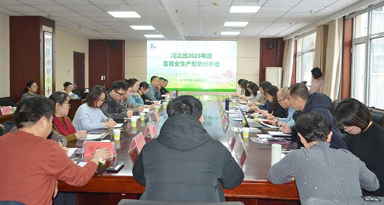 河北省2025年度畜牧業(yè)生產(chǎn)形勢分析會在石家莊市召開